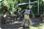 vanuatu danse tribu