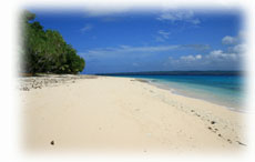 Plage du Vanuatu