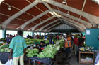 Le marché de Port-Vila