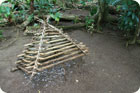  Un piège traditionnel mélanésien