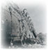 Histoire & Géopolitique Vanuatu